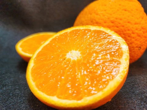 箱込約5㌔　甘平　愛媛県鉄板アイテム