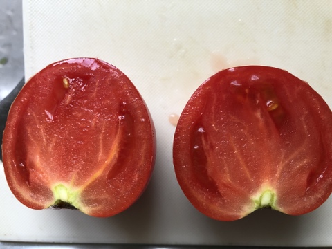 【自然栽培】甘味・酸味・旨味のバランスが最高の完熟大玉トマト”桃太郎”(1kg)