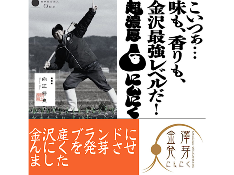 金澤発芽にんにく 0g オマケ訳あり品10 増 合計約30本 40本 石川県産 食べチョク 農家 漁師の産直ネット通販 旬の食材を生産者直送