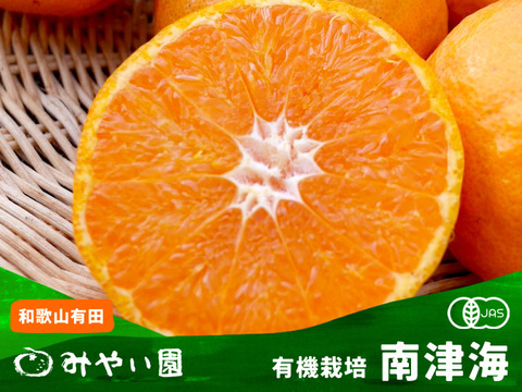 【JAS認証有機 南津海（なつみ）】 さわやかな甘さと酸味！　高級柑橘 　【大小混合 3kg】