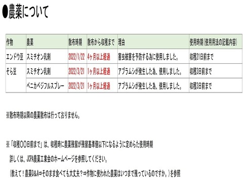 【今が旬：宮崎産】そら豆とおたふく豆とエンドウ豆のセット