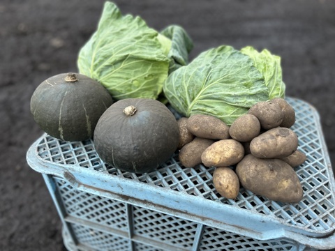 竹内農場の野菜セット