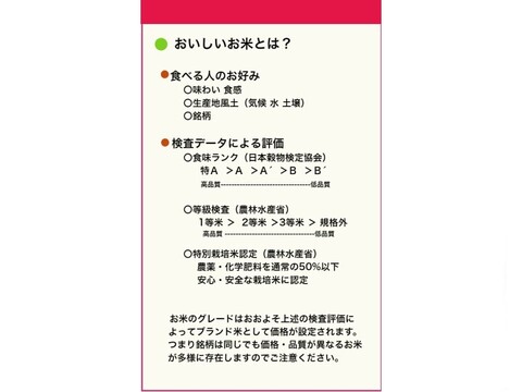 定番のはえぬき2kgx4袋 特A米 一等米  無洗米 令和6年山形産