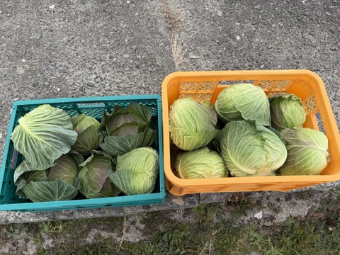 絶品！とくうま秋冬野菜５〜７品セット＜３月発送分＞