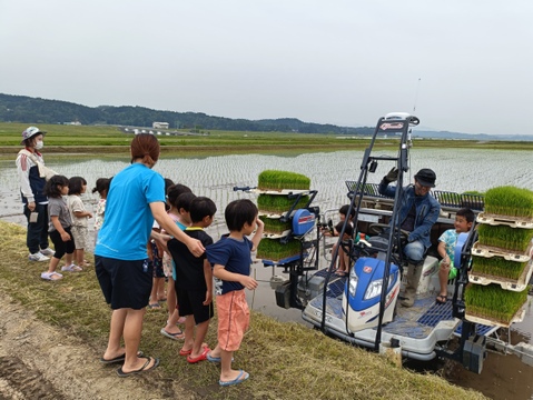 有機JAS認証　自然農法ササニシキ分づき精米5㎏