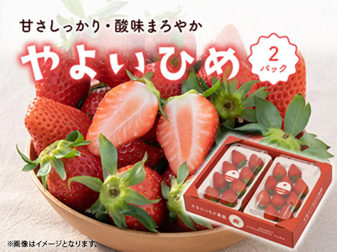2パック｜とっても甘〜い大粒いちご！ぐんまが誇るやよいひめ！500g