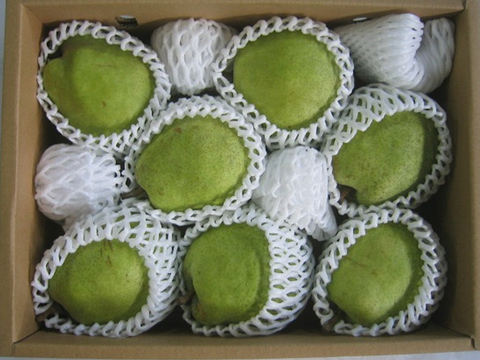 ラ・フランス（3kg箱）6～7個/5L以上　全国最優秀賞グランプリ受賞農園からの大玉の西洋梨をお楽しみください。