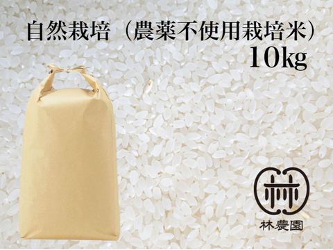 農薬不使用栽培・ヒノヒカリ白米10ｋｇ（令和5年10月収穫・未検査米）