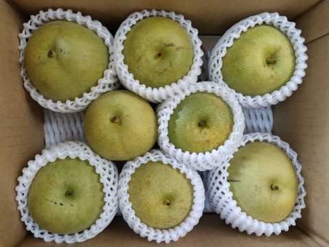 ＜ご家庭用＞『なつしずく』爽やかな香と味　２㎏以上