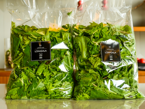 【徳用大大容量】LED施設栽培野菜 LOHASALA レタスミックス (500g×2パック)　洗わずに食べられて 一年中"旬"の味！