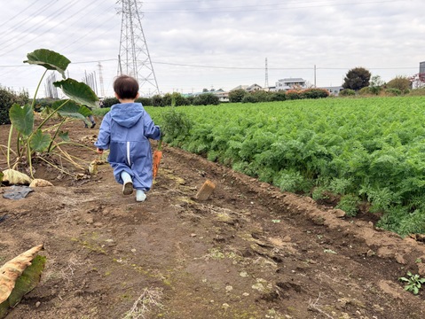 【臭みという言葉を知らない人参】食卓を彩る絶品人参❗️3kg！甘みたっぷり！生でも美味しい！希少価値高い品種！料理しやすいサイズをお届け！食卓に鮮やかなオレンジ色を🧡