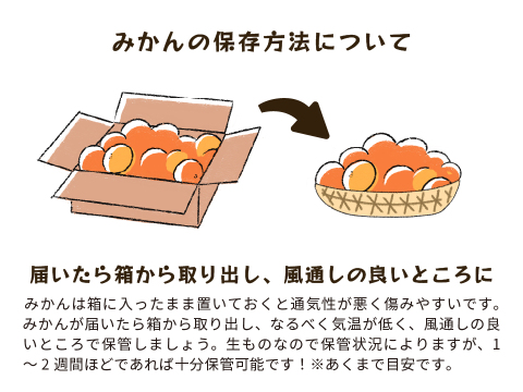 YN26（みかん）家庭用5kg｜和歌山で生まれた温州みかんの有望品種を産地直送でお届け