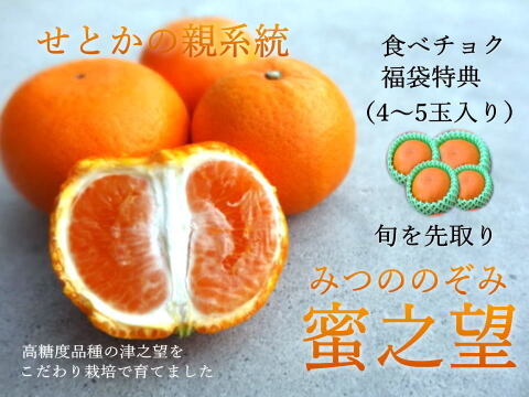 【福袋】甘～い完熟みかんや希少柑橘の食べ比べに果肉たっぷりみかんジャムも！12月下旬の年内発送！年末年始に家族でワイワイ♪♪「旬のこだわり柑橘食べ比べ福袋」家庭用　約5kg入【商品番号1102】