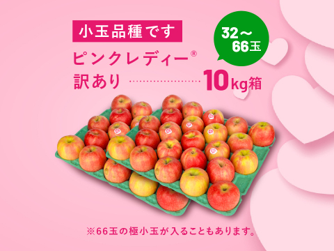 発送中🍎ヒルナンデスでました！】ピンクレディー®︎ 10キロ訳あり品 加工用にご利用ください！長野県 信州 安曇野 リンゴ 幻 幻のリンゴ 予約 希少 旬 ID62476 ピンクレディー