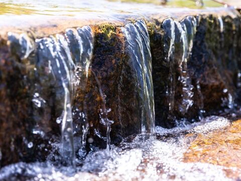 【令和4年産特別栽培米】十代目松治 滋賀県産きぬむすめ「縁起の竜王米」 白米10kg(5kgx2袋)