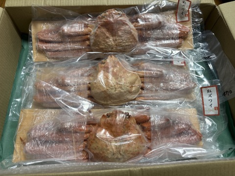 ~日時指定可~富山湾の紅ズワイガニ✨お得な1.2Kgセット（中小サイズ3杯）”茹でたて特殊急速冷凍品”