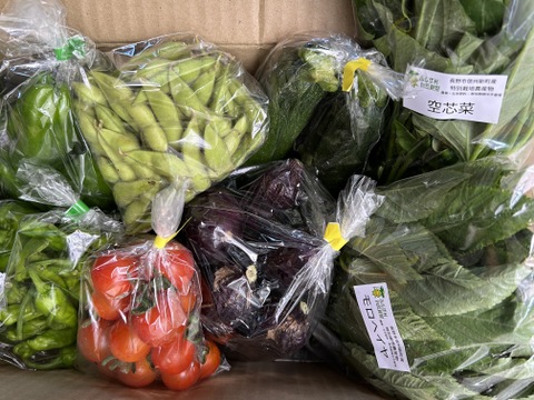 信州冬野菜セット【10品目】