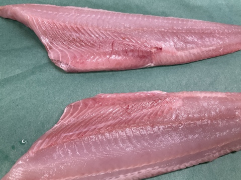 【刺身用】根ホッケ/特大/原体500~600g/3枚おろし/フィレ2枚【冷凍】