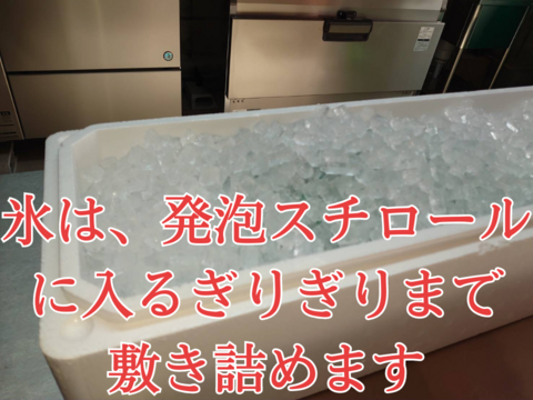 養殖ブリ1尾入り(神経締め付！)