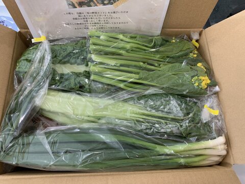 【食べチョクアワード2025受賞】
カラダが喜ぶ!!旬のお野菜セット9~10種類【おまかせ80】