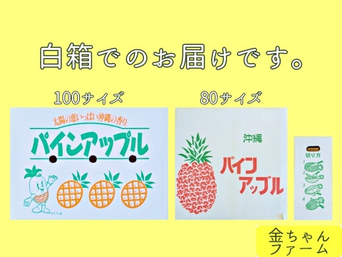 【豊潤極甘】黄金のパイン『ゴールドバレル』2玉（約2.0kg)