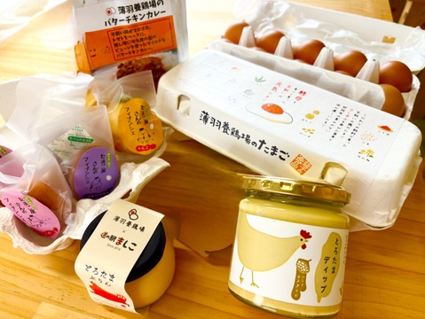 【福袋】薄羽養鶏場のたまごの詰め合わせ