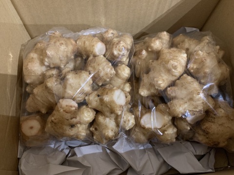 自然栽培の栗３Ｌ以上1.5キロ６０サイズクール便⭐オマケ付き⭐️⭐️⭐️⭐️⭐️