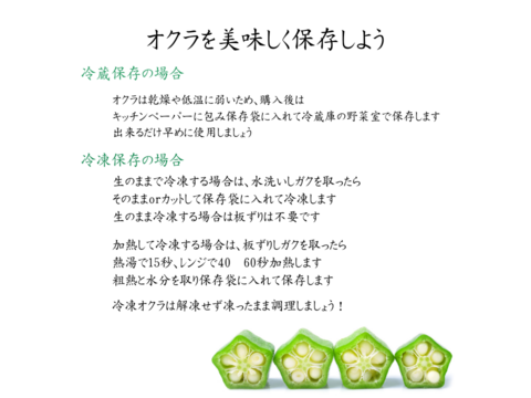 熊本県八代産まるかじりトマト３ｋｇ ＆ オクラ５０本セット