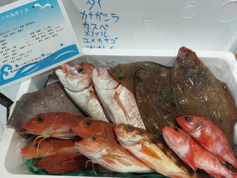 ９月スタート！【最大１ヶ月待ちになります🙇】🐟未利用魚🐟️訳ありを安くお得に！漁師の分け前セット３㎏程度