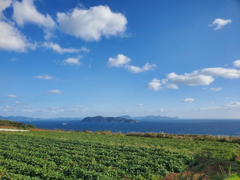 島さつまいも三彩セット ほくほく・ねっとり食べ比べ 紅はるか/安納芋/高系14号 計２kg