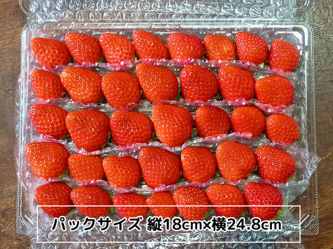 【春限定】よつぼしお楽しみパック【朝づみ直送】約450g