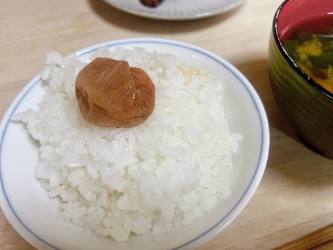 ひとめぼれ 玄米5㎏　農薬・肥料不使用　天日干し！