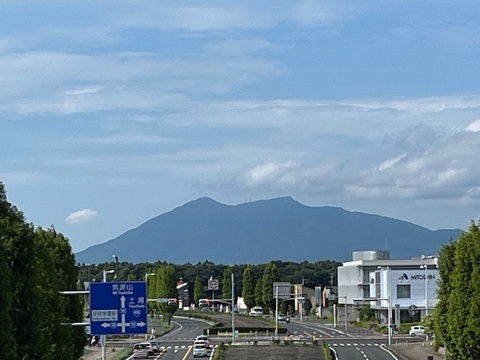 【大中粒・完熟甘～い】つくば産 冷凍ブルーベリー ５kg　ラビットアイ系ティフブルー