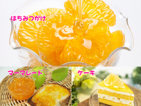 【超熟甘夏 – 雨と太陽と時間が育てた果実】尾鷲甘夏お試し2kg