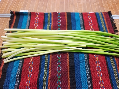 希少！市場にあまり出ない白いニンニクの芽 400g(20本）