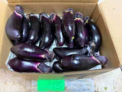自然農法のナス　2ｋｇ