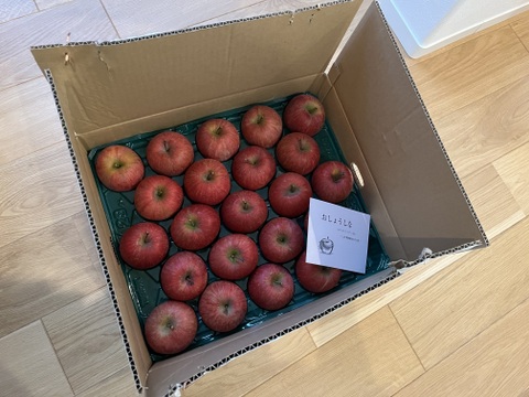 今年も🥈受賞！！サンふじ１０ｋｇ（４６玉）
りんご品評会　南陽市市長賞（２０２５年）受賞