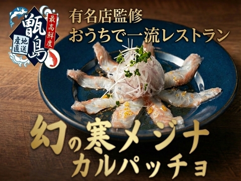 🏆都内18店舗展開する一流シェフ御用達🏆おうちで一流レストラン最高鮮度寒メジナ×日本一おいしいカルパッチョ一度食べればやみつき食感確定🐟20代女性漁師が手掛ける甑島ブランド【7月中旬予約】