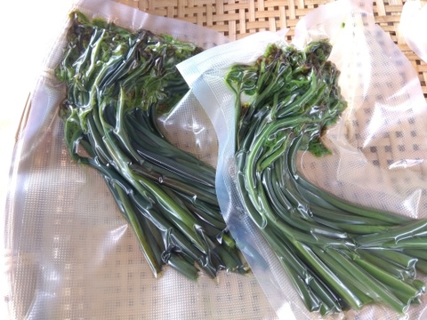春の山菜「すぐ食べられるセット」
タケノコ水煮　500ｇとあく抜きワラビ400g　
【自家農園での自然栽培品】
朝堀のタケノコとワラビを新鮮なうちにあく抜きし真空パックしてます。