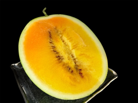 8/17収穫分【訳あり】糖度13-17以上【金色羅皇】『大里果樹園のスイカ』2L-3L