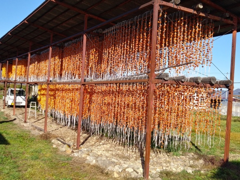 紅干し柿　まるで和菓子！２パック（１パック当り180ｇ）