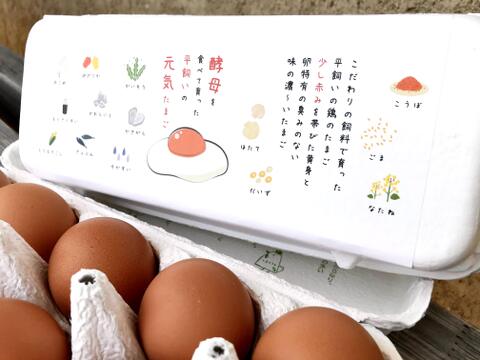 【冬ギフト】冬の詰め合わせたまごギフト