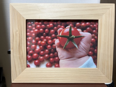 石井食品おまけ付　食卓に笑顔を　真っ赤なみにとまと 1.5kg【トマト食べ比べ】