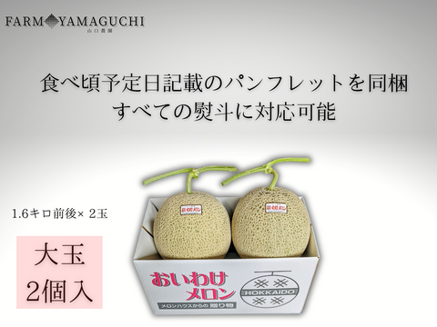 ギフトに大人気 【北海道メロン】 2玉入り　大玉