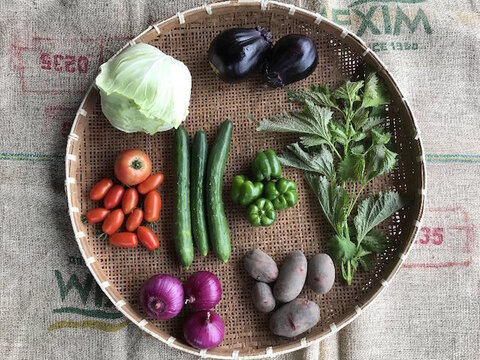 自然農法・有機栽培野菜セット(7〜10品目)