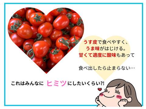 ★2㎏★秘密にしたい?!ミニトマト『ヒミツのミニ』約2kg（250gx8p）