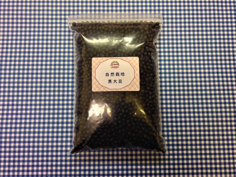 【ゆっこ様専用】♥️黒大豆500g・青大豆250g♥️