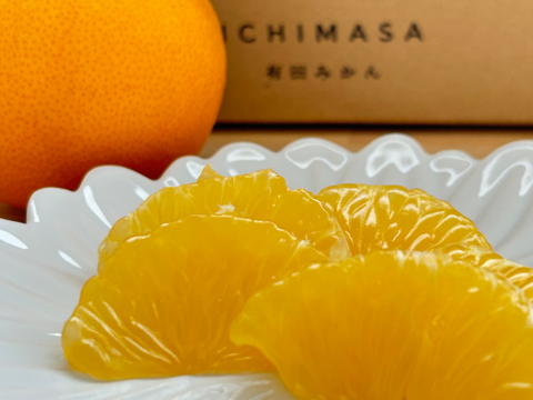 【木成り八朔】箱込み10キロ家庭用　※皮むき器つき　さつき八朔　はっさく