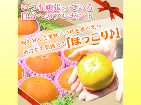 【訳あり品】甘くて美味しい富有柿　ご自宅用12玉～14玉　ご家庭で食べるなら十分♪