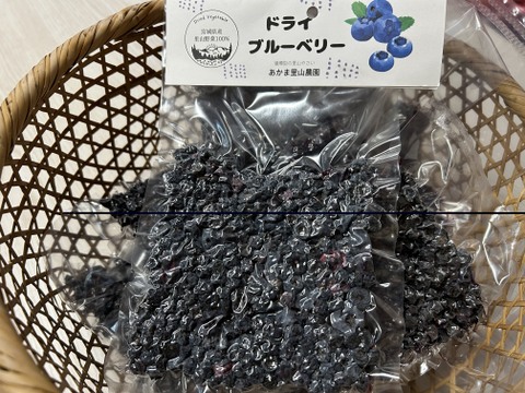 【宮城県石巻産】ドライブルーベリー50g　そのまま食べても美味しい！お菓子作りにもオススメ！